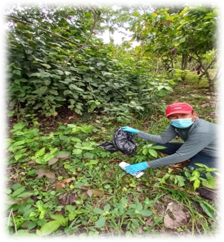 Por una agricultura sostenible.