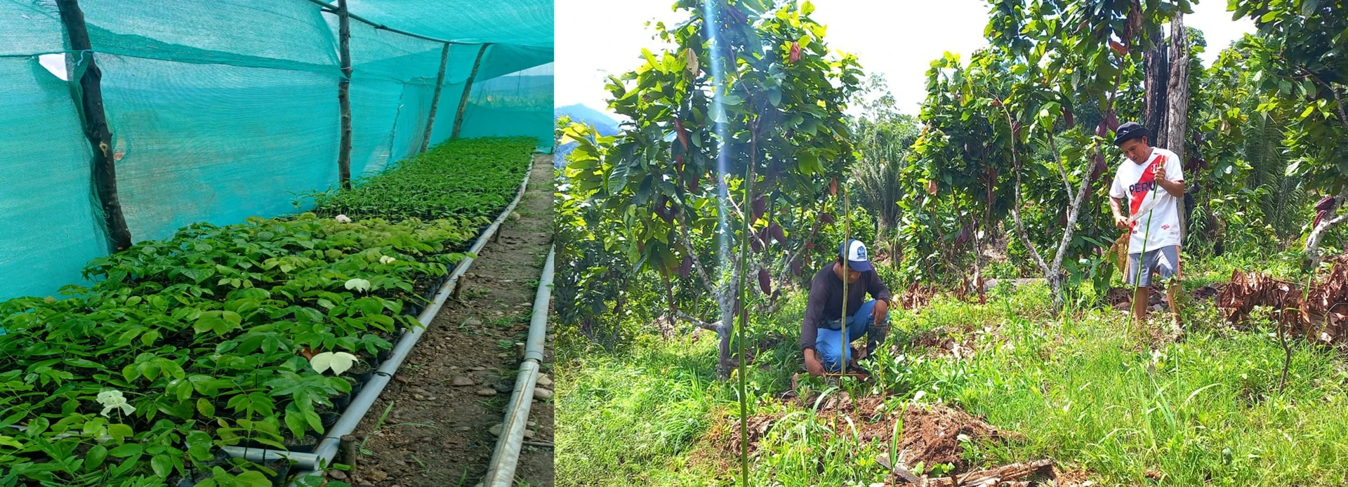 Por una agricultura sostenible.