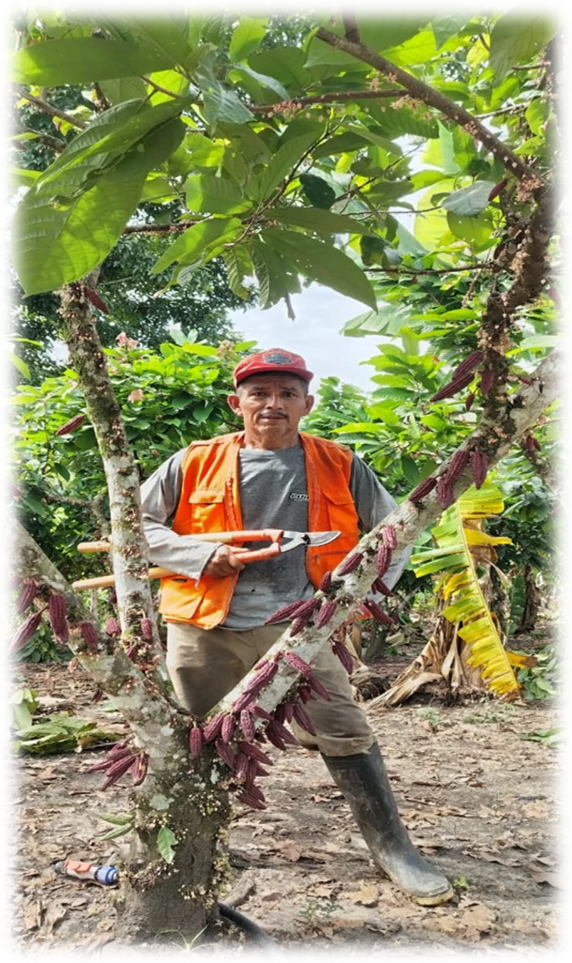 Por una agricultura sostenible.